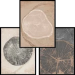 Set Anillos arboreos negro simple 40x50