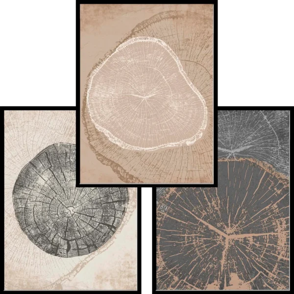 Set Anillos arboreos negro simple 40x50