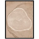 Set Anillos arboreos negro simple 40x50 - Imagen 3